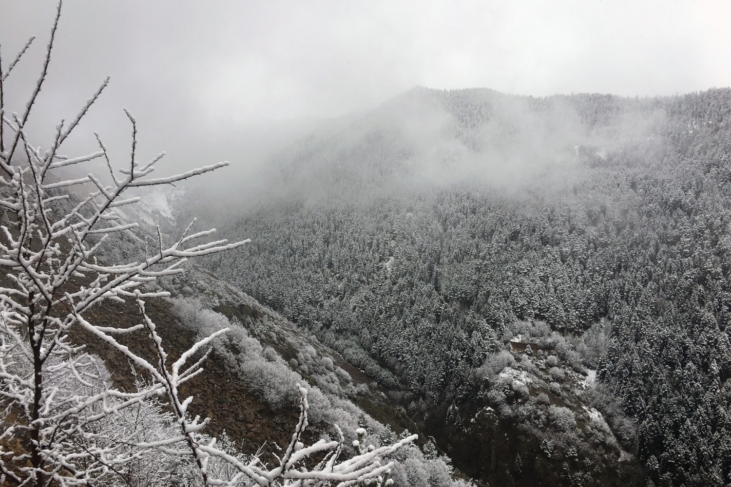 Gümüşhane’nin yüksekleri beyaza büründü 6