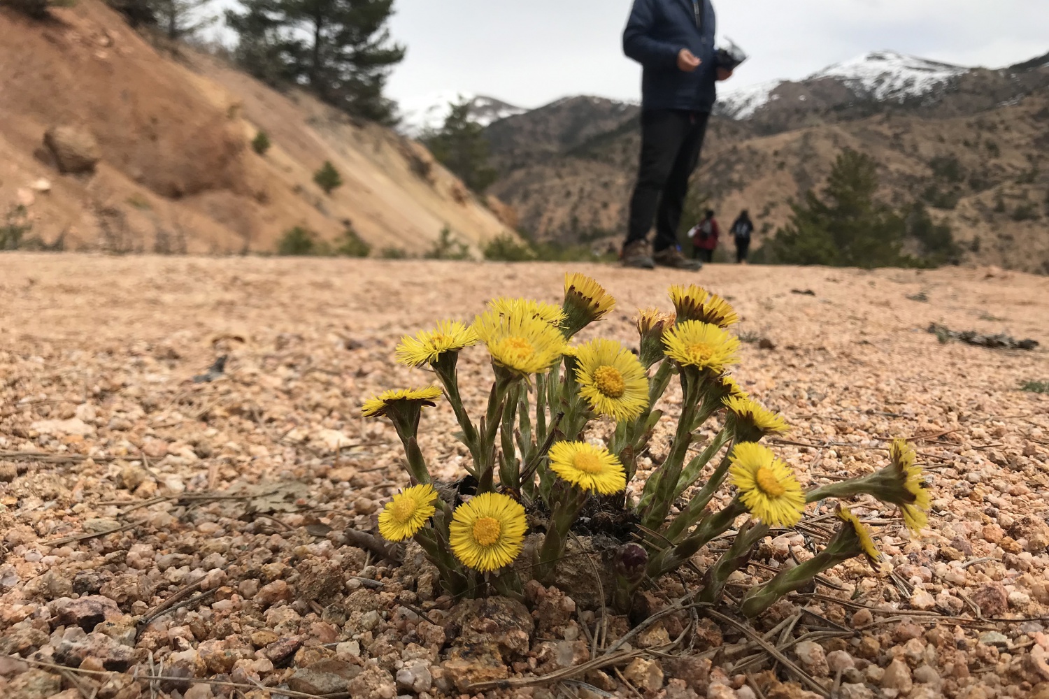 Gümüşhaneli dağcılardan Kelkit’te bahar yürüyüşü 20