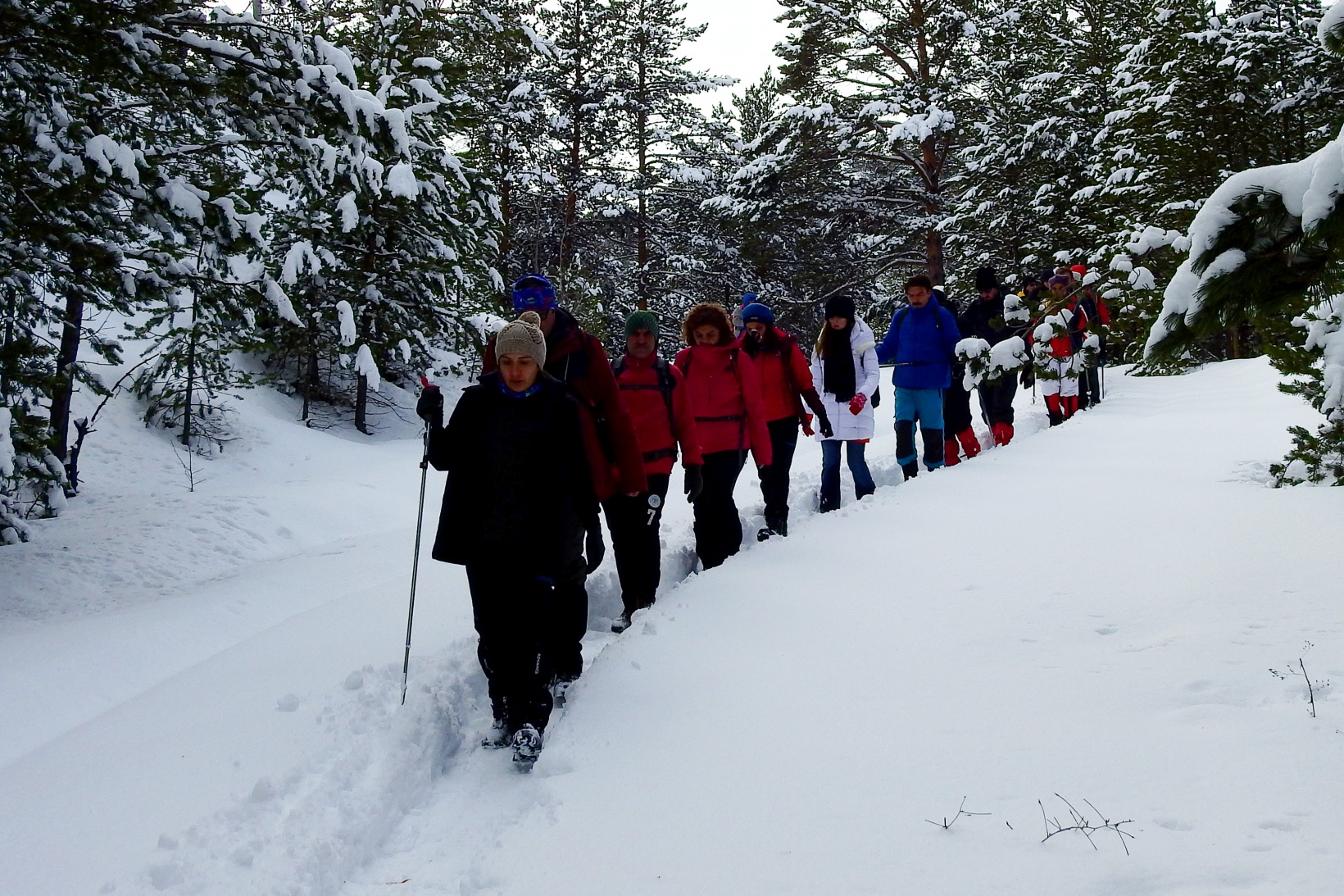 Gümüşhaneli, Trabzonlu ve Samsunlu dağcılardan kar yürüyüşü 14