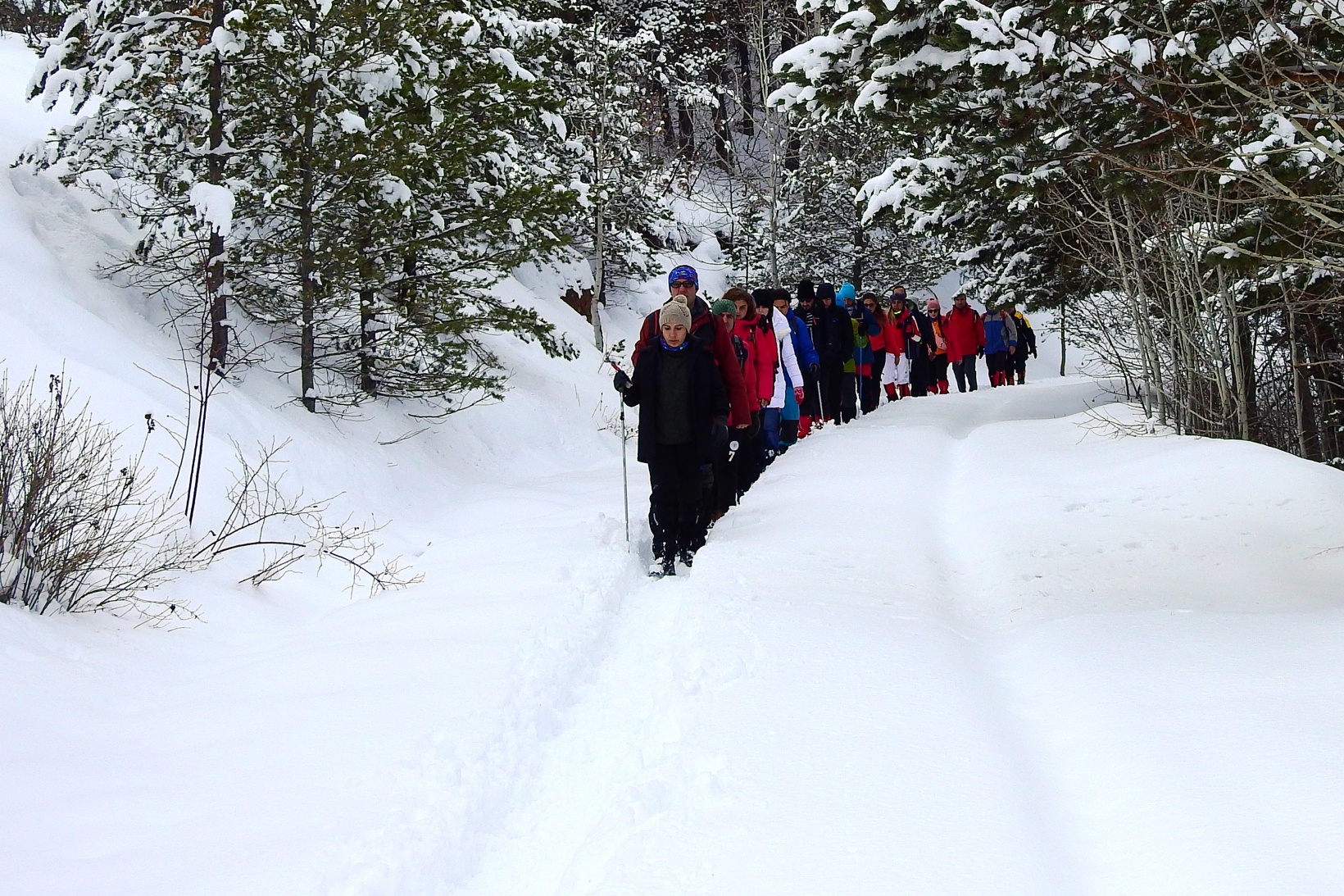 Gümüşhaneli, Trabzonlu ve Samsunlu dağcılardan kar yürüyüşü 10
