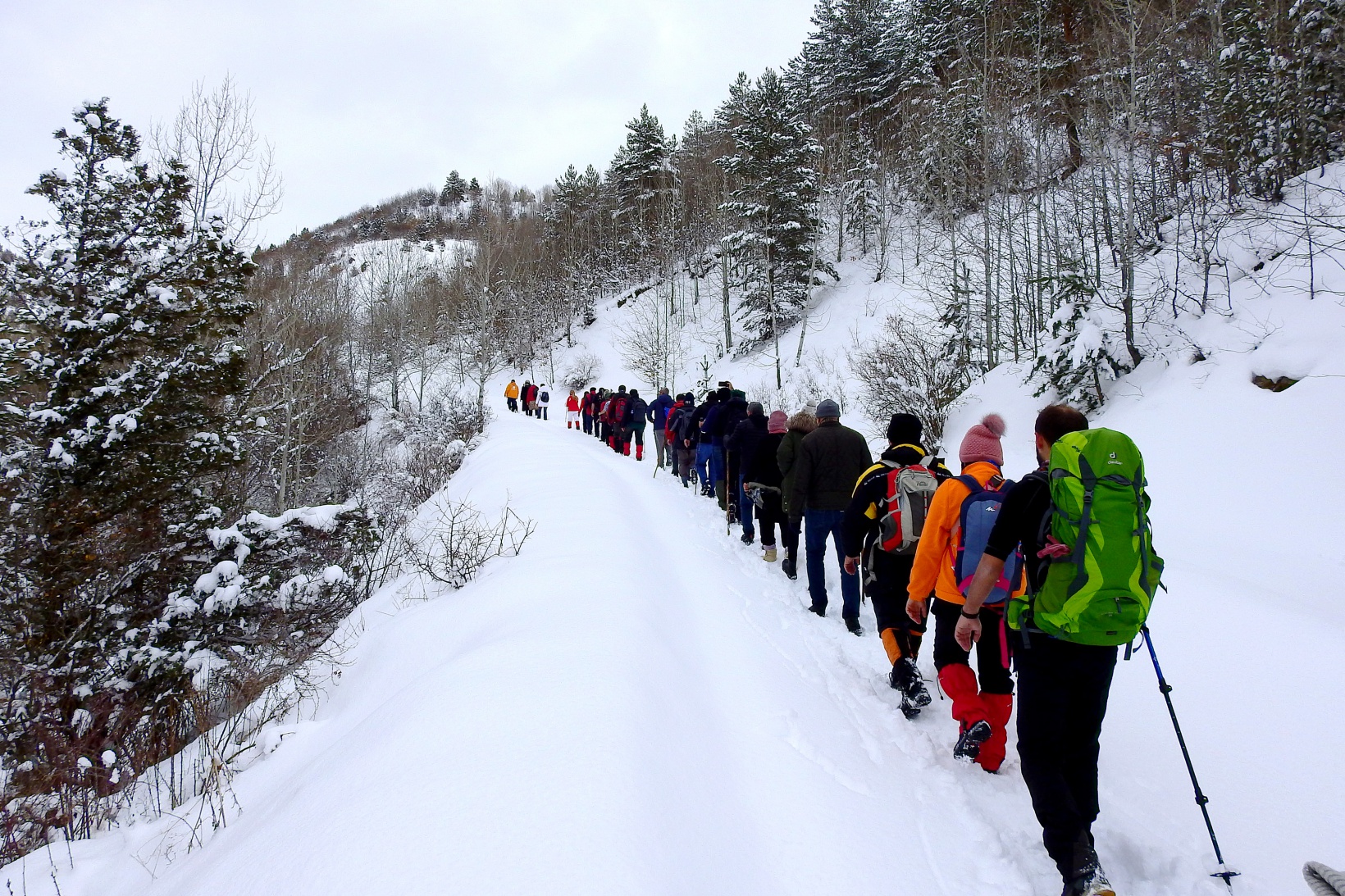 Gümüşhaneli, Trabzonlu ve Samsunlu dağcılardan kar yürüyüşü 13