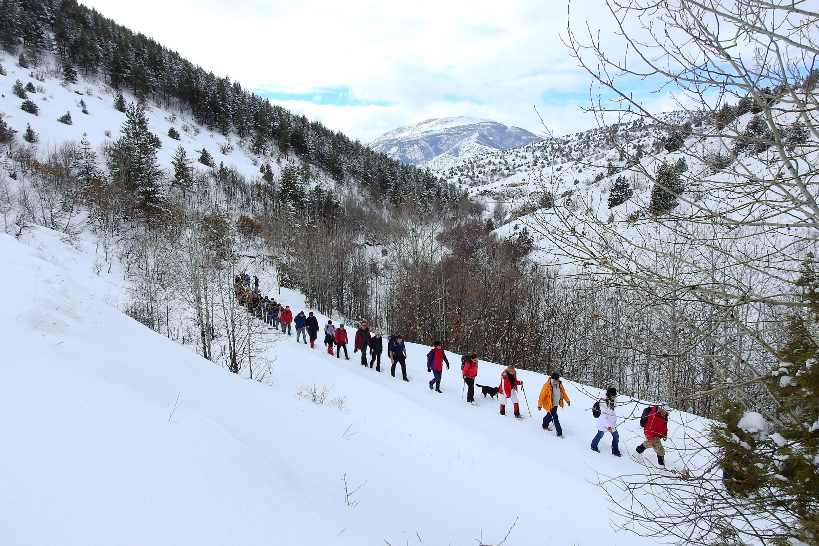 Gümüşhaneli, Trabzonlu ve Samsunlu dağcılardan kar yürüyüşü 2