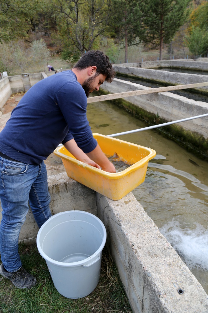 'İyi alabalık bol tereyağında, ağır ateşte yavaş yavaş pişer' 11
