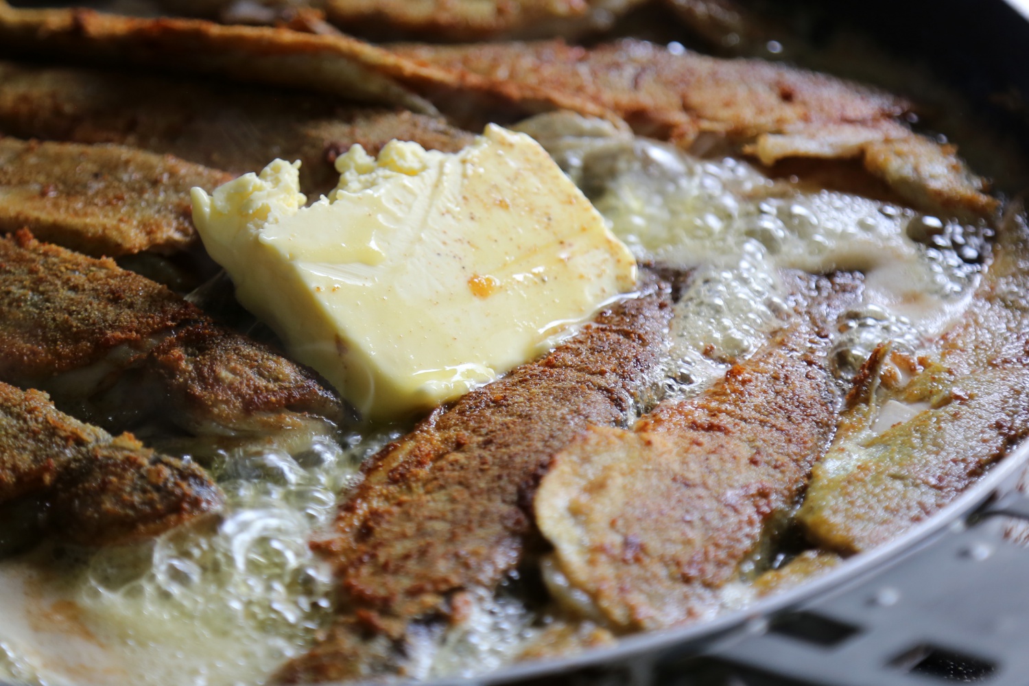 'İyi alabalık bol tereyağında, ağır ateşte yavaş yavaş pişer' 3