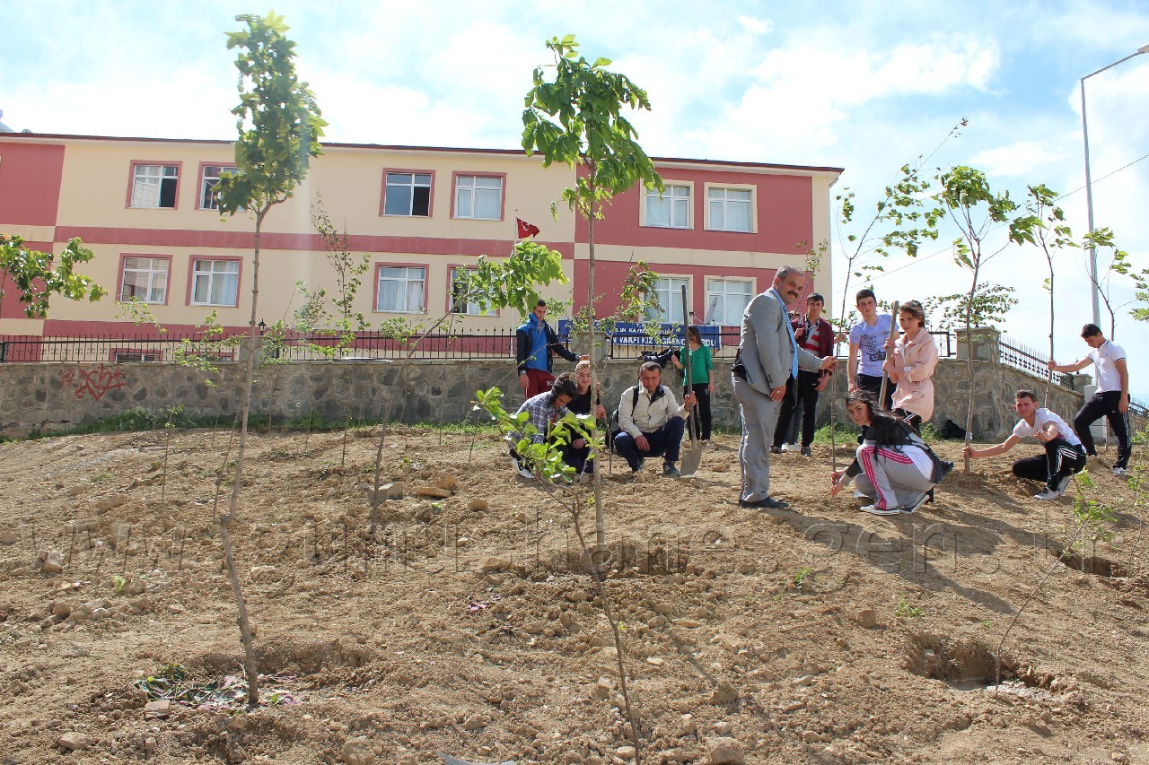Bir Haftada Bin Fidan Diktiler 2