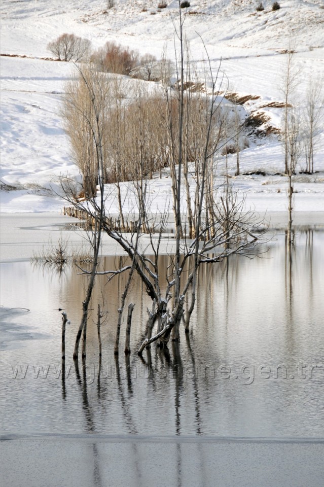 Göletler Buz Tuttu 2