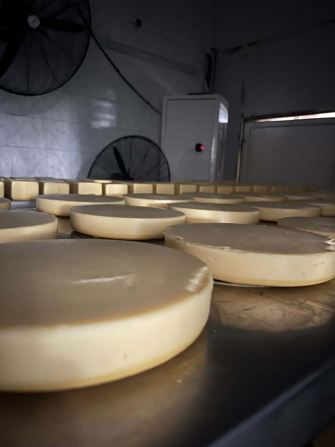 Turizm Fakültesi’nin saha uygulamaları devam ediyor 2