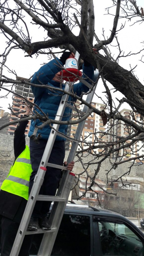 ‘Müslüman Ülkede Kuşlar Aç Kaldı Demesinler’ 9