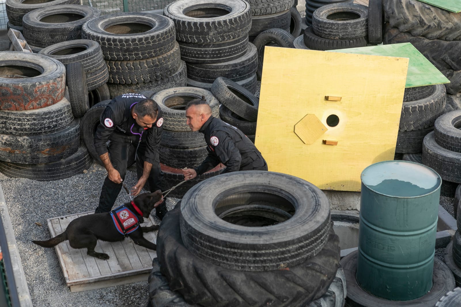 GÜ Köpekli Arama Kurtarma Çalıştayına katıldı 7