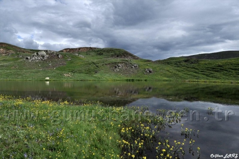 TEMA Vakfı Gümüşhane Dağlarında 6