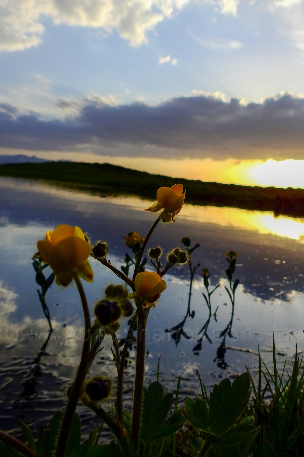İmparatorlukların sessiz tanığı Dipsiz Gölde bahar güzelliği 17