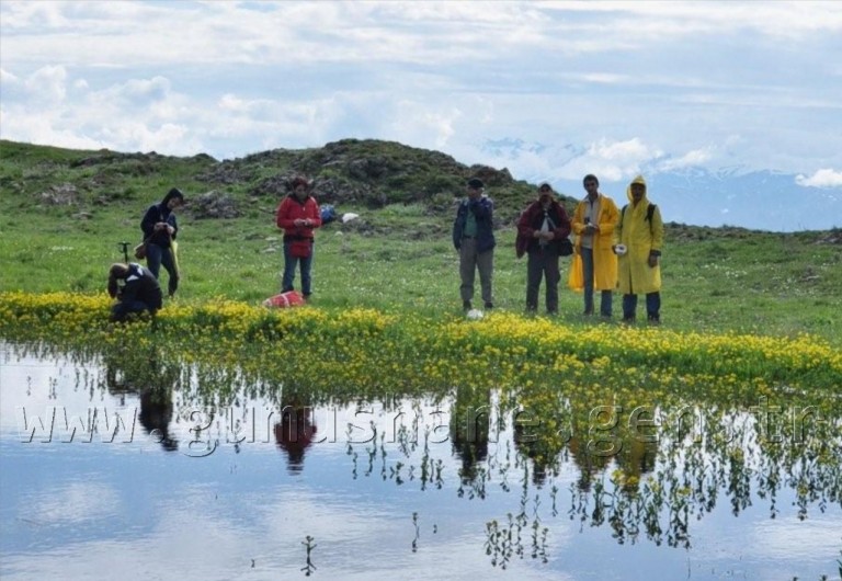 TEMA Vakfı Gümüşhane Dağlarında 9