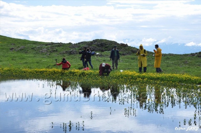 TEMA Vakfı Gümüşhane Dağlarında 15