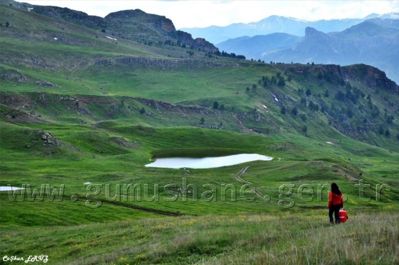 TEMA Vakfı Gümüşhane Dağlarında 16