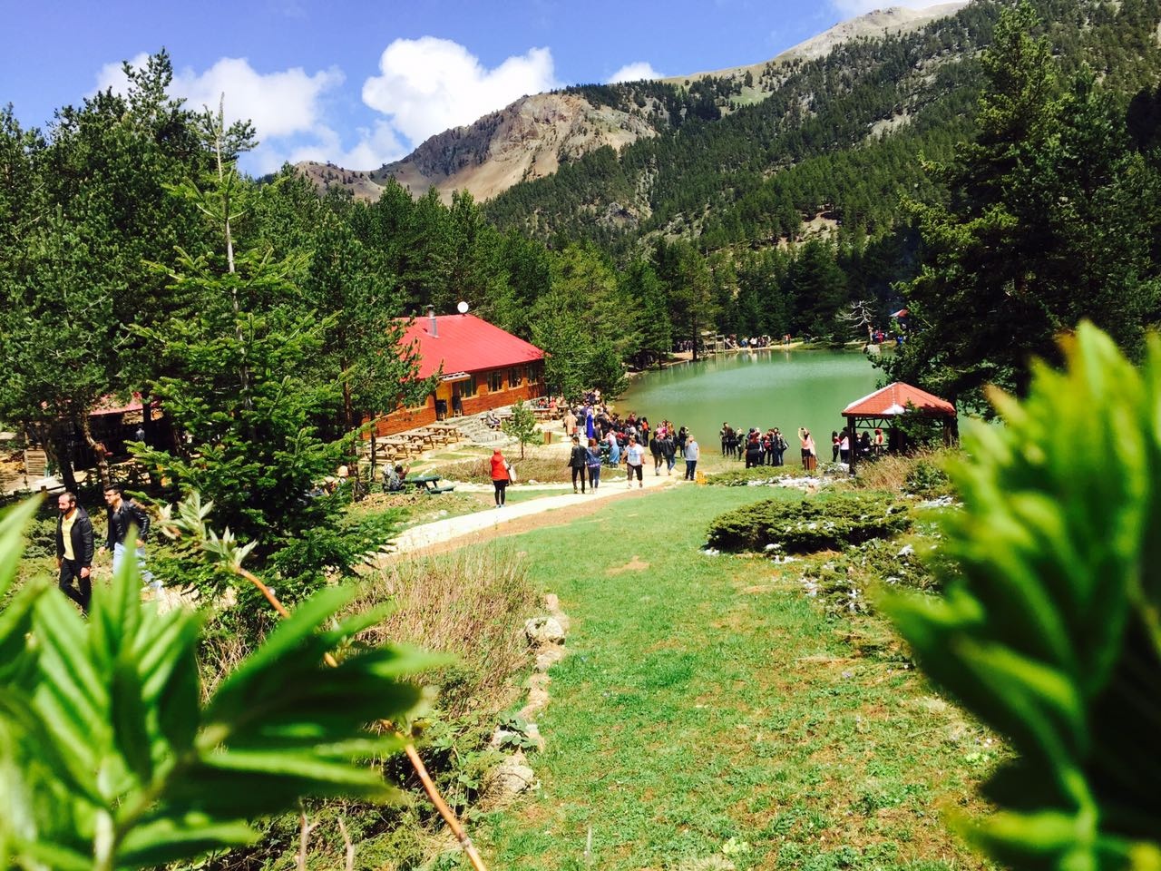 Üniversite öğrencileri önce Tomara sonra Limni Gölünde coştu 15