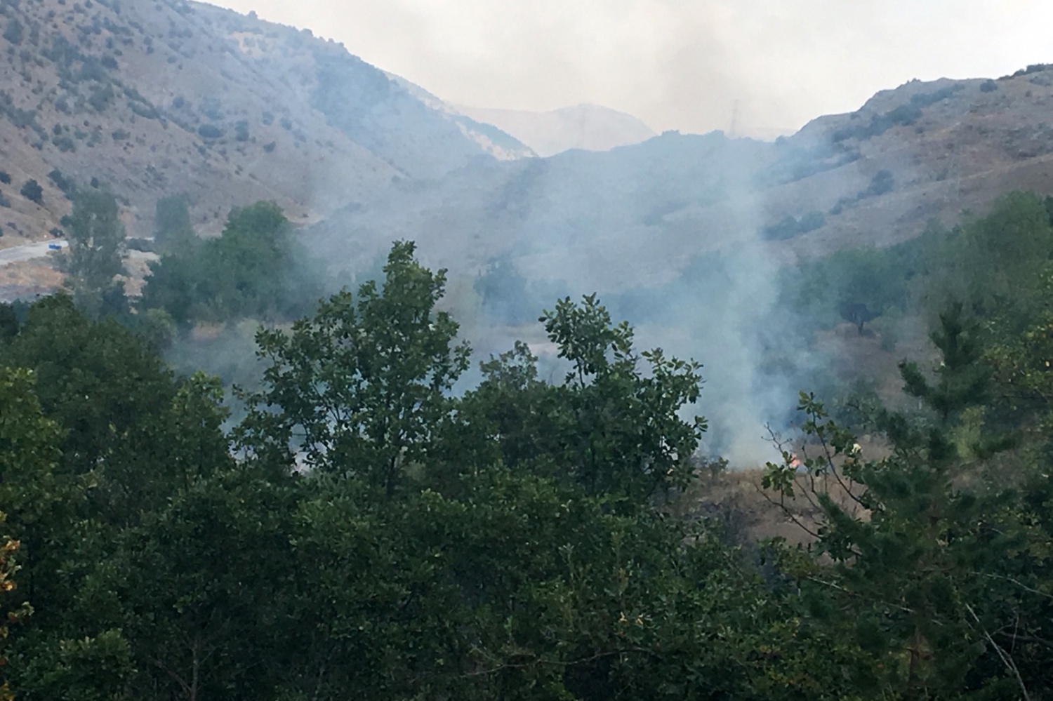 Gümüşhane’de örtü yangını 6