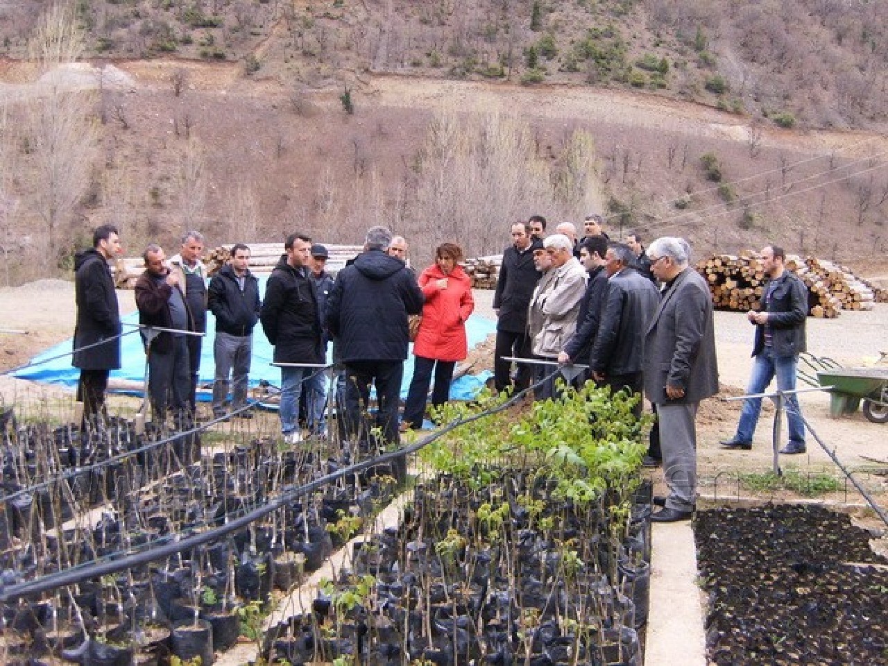 Ceviz Gen Bahçesi İçin Aşı Ustaları Yetiştiriliyor 1