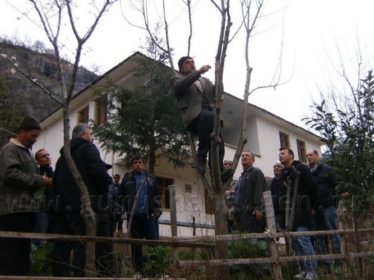 Ceviz Gen Bahçesi İçin Aşı Ustaları Yetiştiriliyor 3