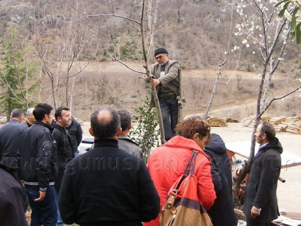 Ceviz Gen Bahçesi İçin Aşı Ustaları Yetiştiriliyor 4