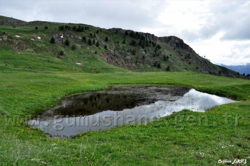 TEMA Vakfı Gümüşhane Dağlarında 17