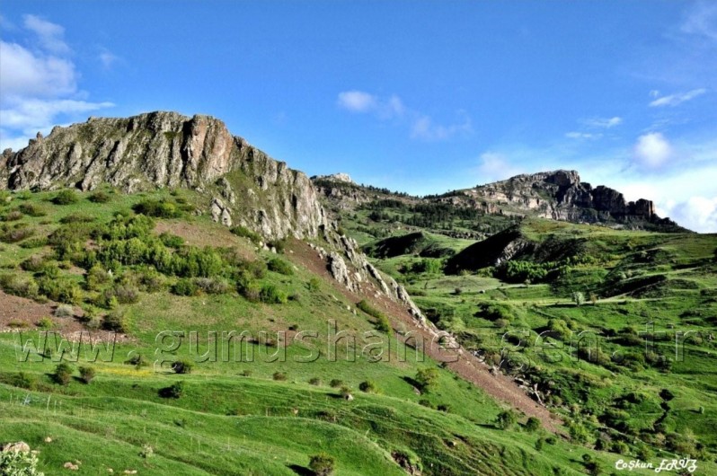 TEMA Vakfı Gümüşhane Dağlarında 26