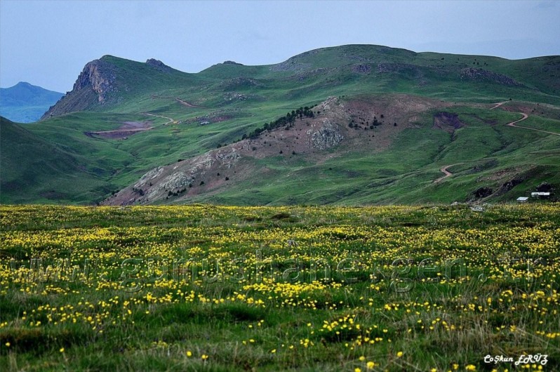 TEMA Vakfı Gümüşhane Dağlarında 28