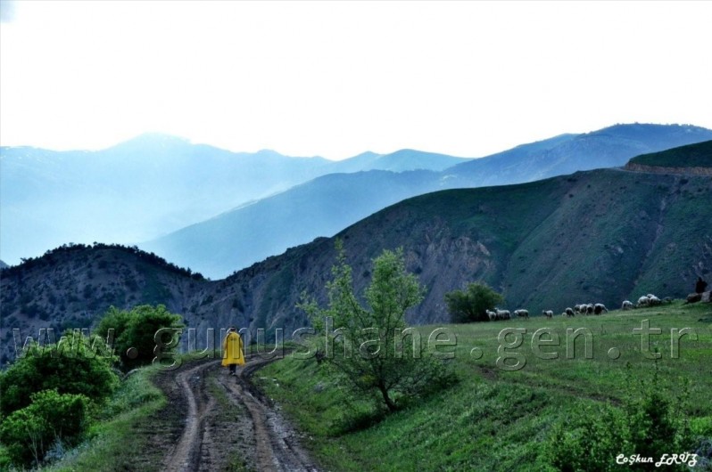 TEMA Vakfı Gümüşhane Dağlarında 29