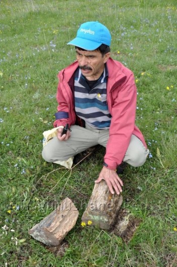 TEMA Vakfı Gümüşhane Dağlarında 31