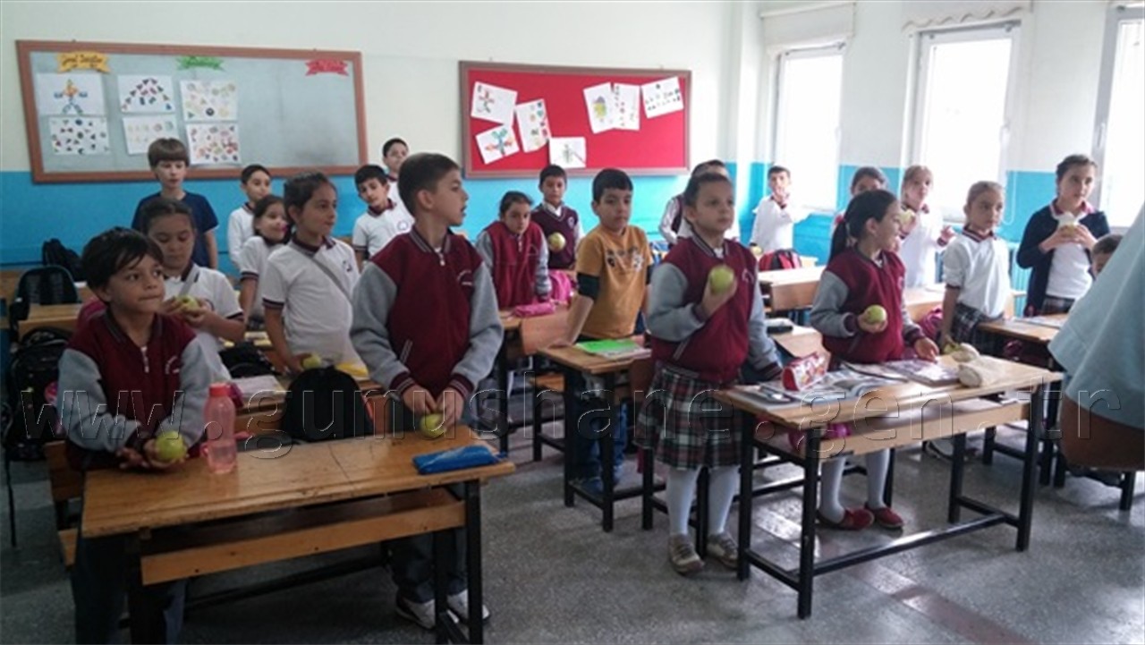 Kahvaltımı Yaptım, Meyvem Çantamda 4