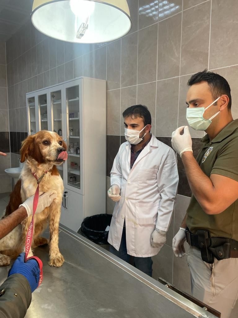 Emniyet’ten 4 Ekim farkındalığı 2