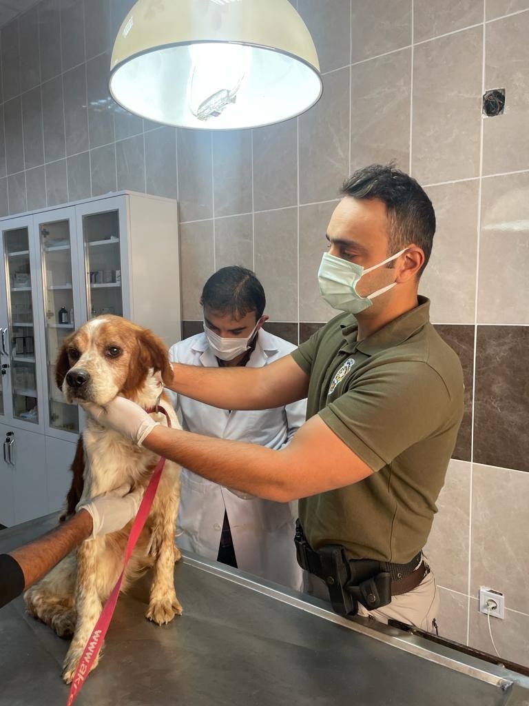 Emniyet’ten 4 Ekim farkındalığı 1