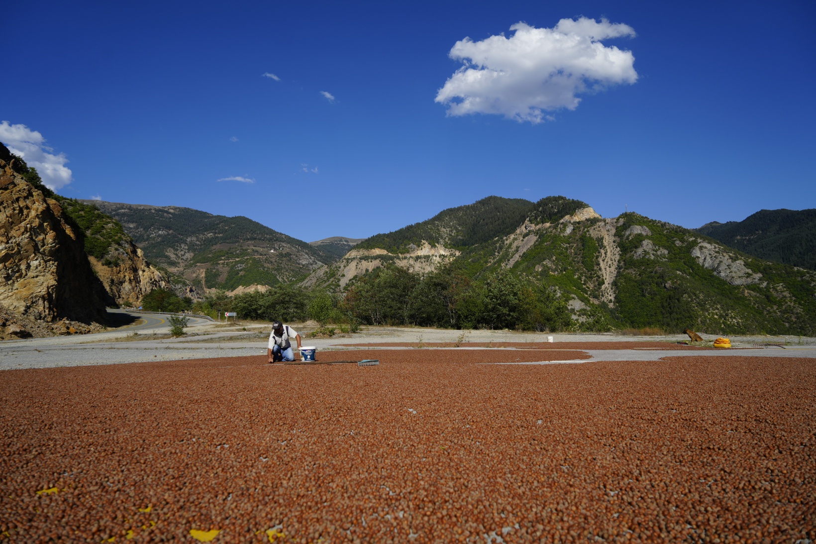 Üreticiler fındıkları kurutmak için Gümüşhane’yi mesken tuttu 7