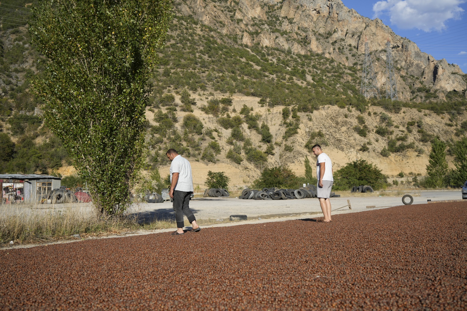 Üreticiler fındıkları kurutmak için Gümüşhane’yi mesken tuttu 10