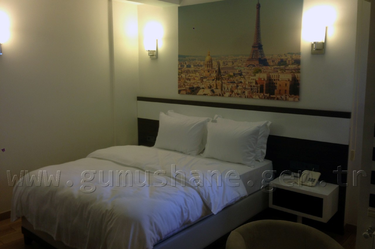 Kelkit'e 4 Yıldızlı Otel 2