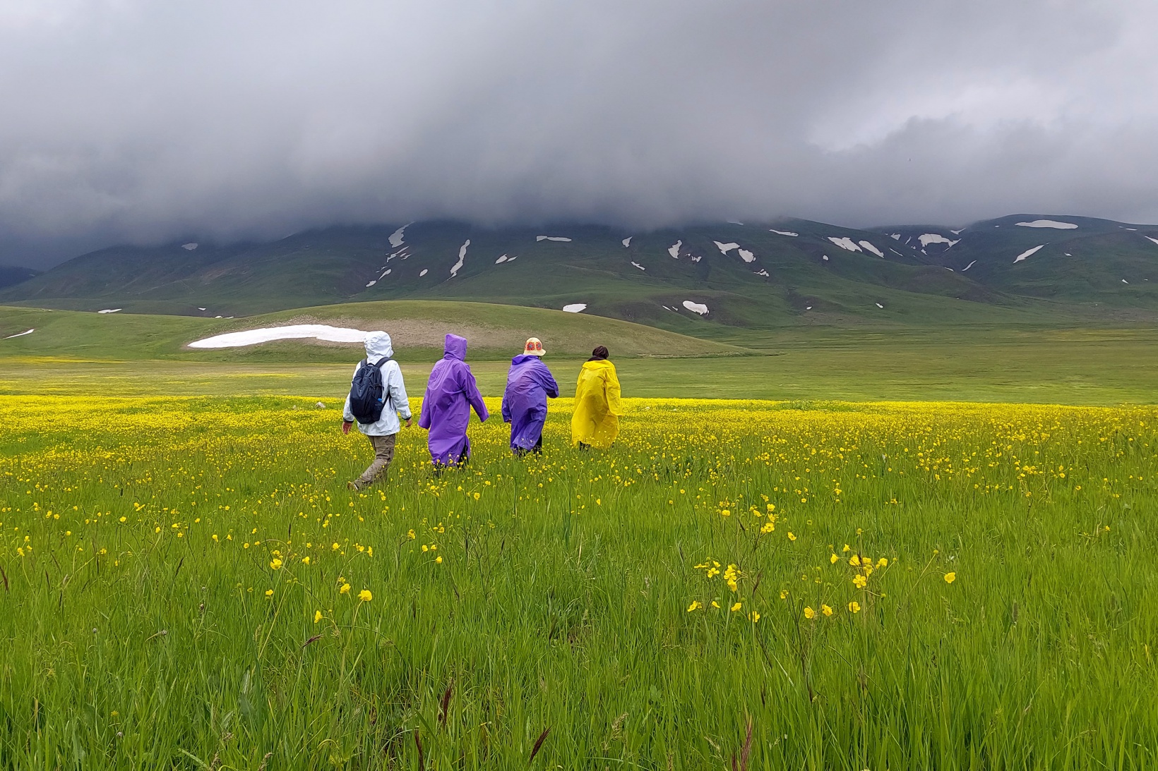 Cami Yurdu Yaylası baharın renk cümbüşüyle sarıya büründü 3