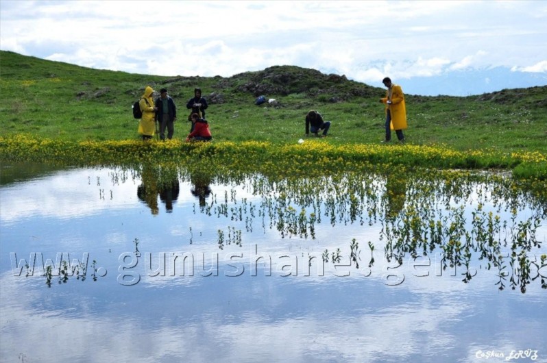 TEMA Vakfı Gümüşhane Dağlarında 33
