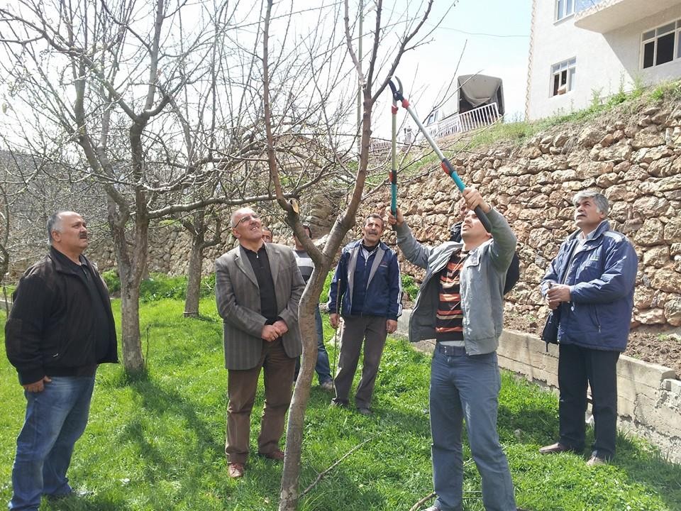 Üç Köyde Tarla Okulu Açıldı 4