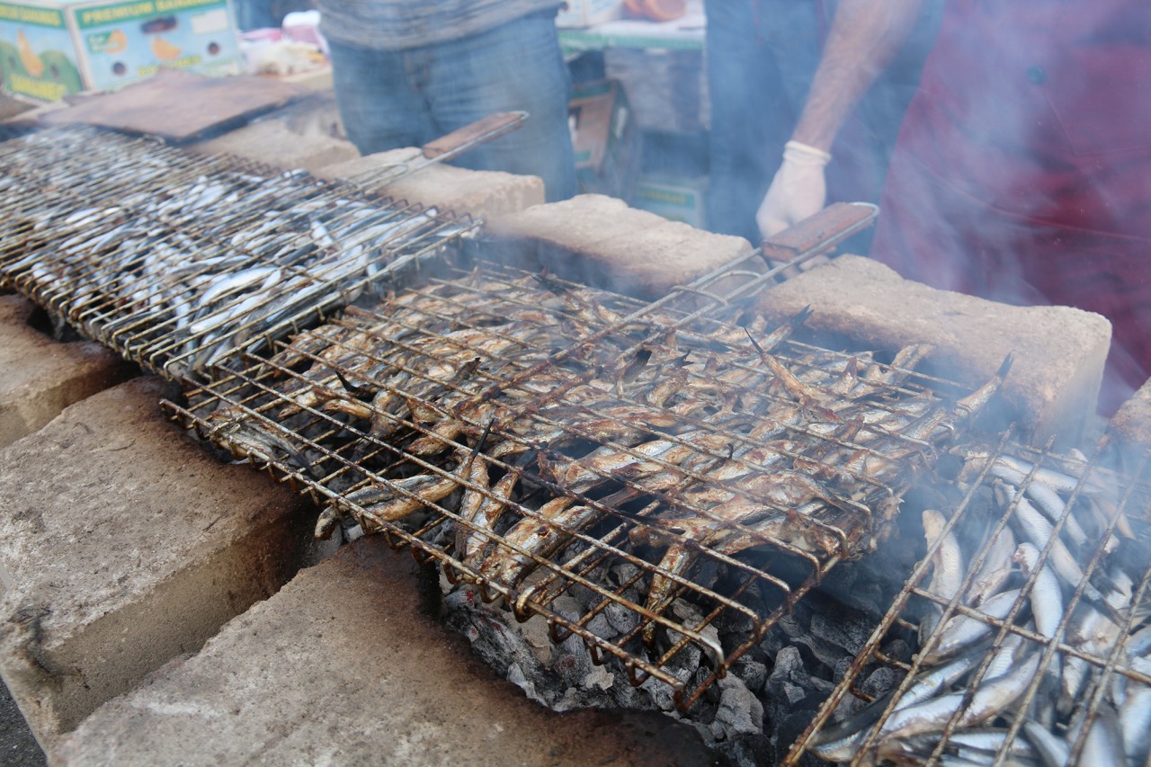 Çimen'den Öğrencilere Hamsi Dopingi 5