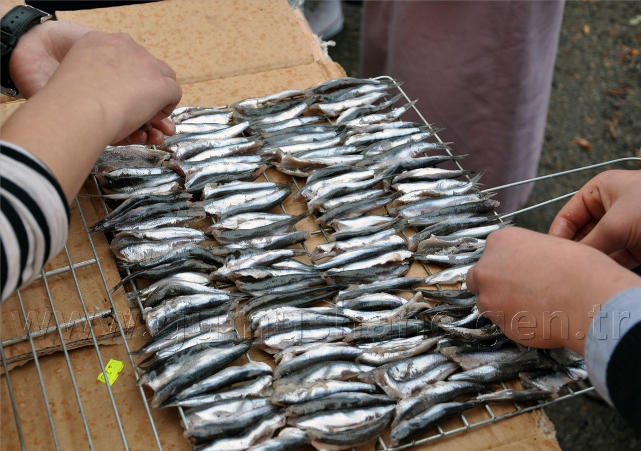 Fatih Anadolu İmam Hatip Lisesinde Hamsi Şöleni 3