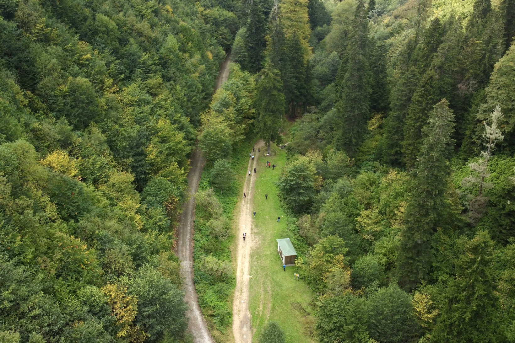 Sonbahar güzelliklerini havadan görüntülediler 12
