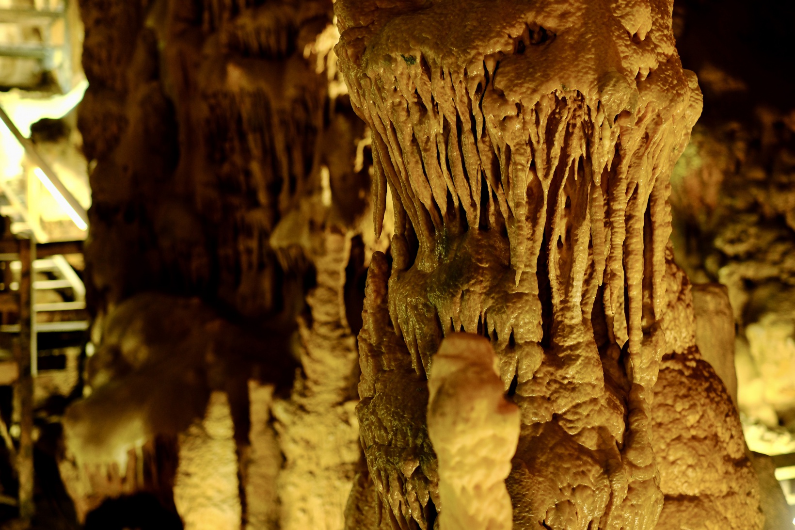 Sonbahar güzelliklerini havadan görüntülediler 8