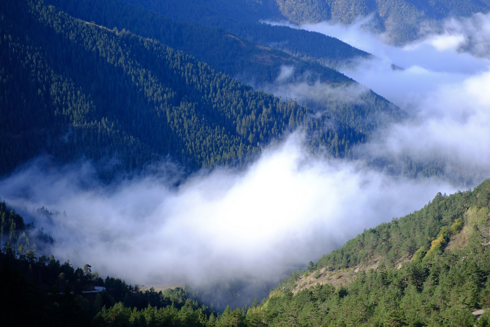 Sonbahar güzelliklerini havadan görüntülediler 10