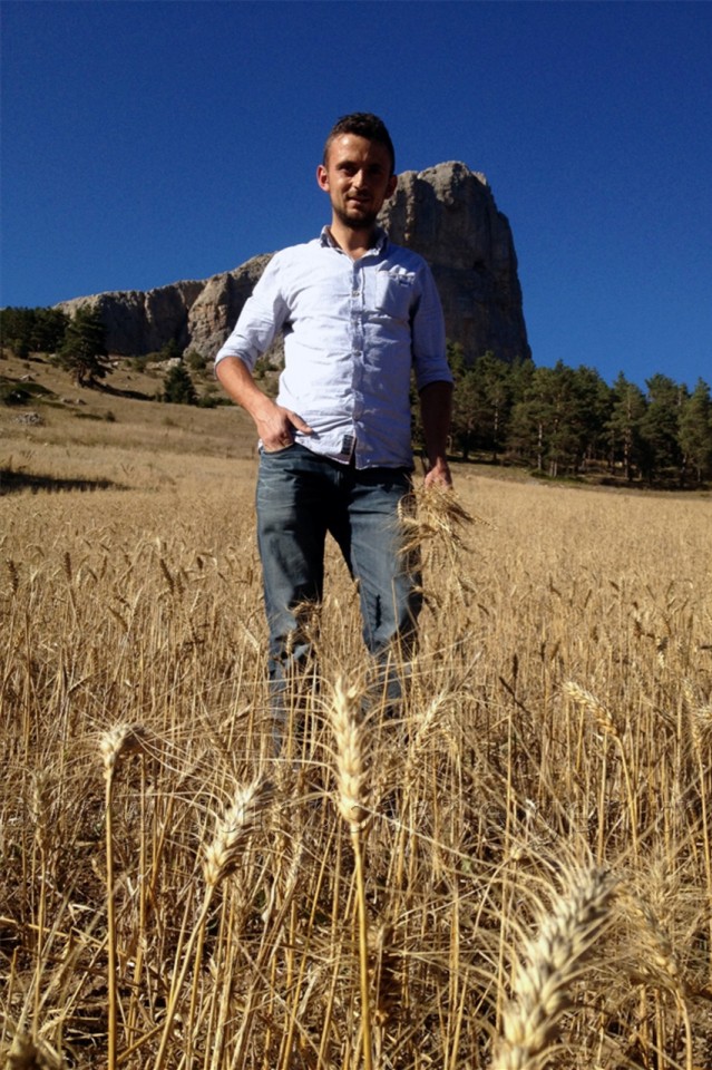 Kuşlar Yesin Diye 15 Dönüm Buğday Ekti 5