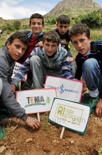 İş Bankası'nın 68.Ormanı Gümüşhane'de 3