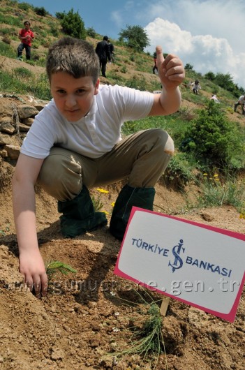 İş Bankası'nın 68.Ormanı Gümüşhane'de 6