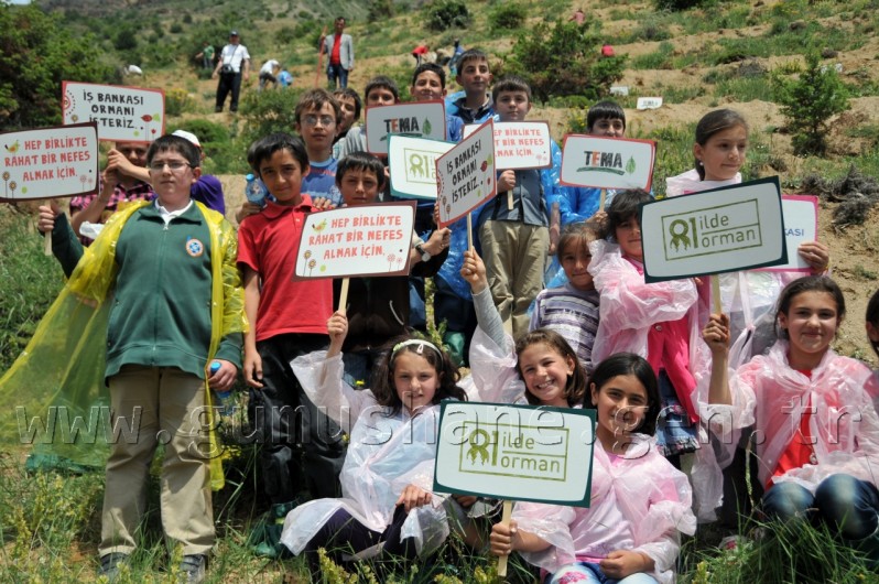 İş Bankası'nın 68.Ormanı Gümüşhane'de 7