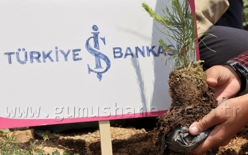 İş Bankası'nın 68.Ormanı Gümüşhane'de 10