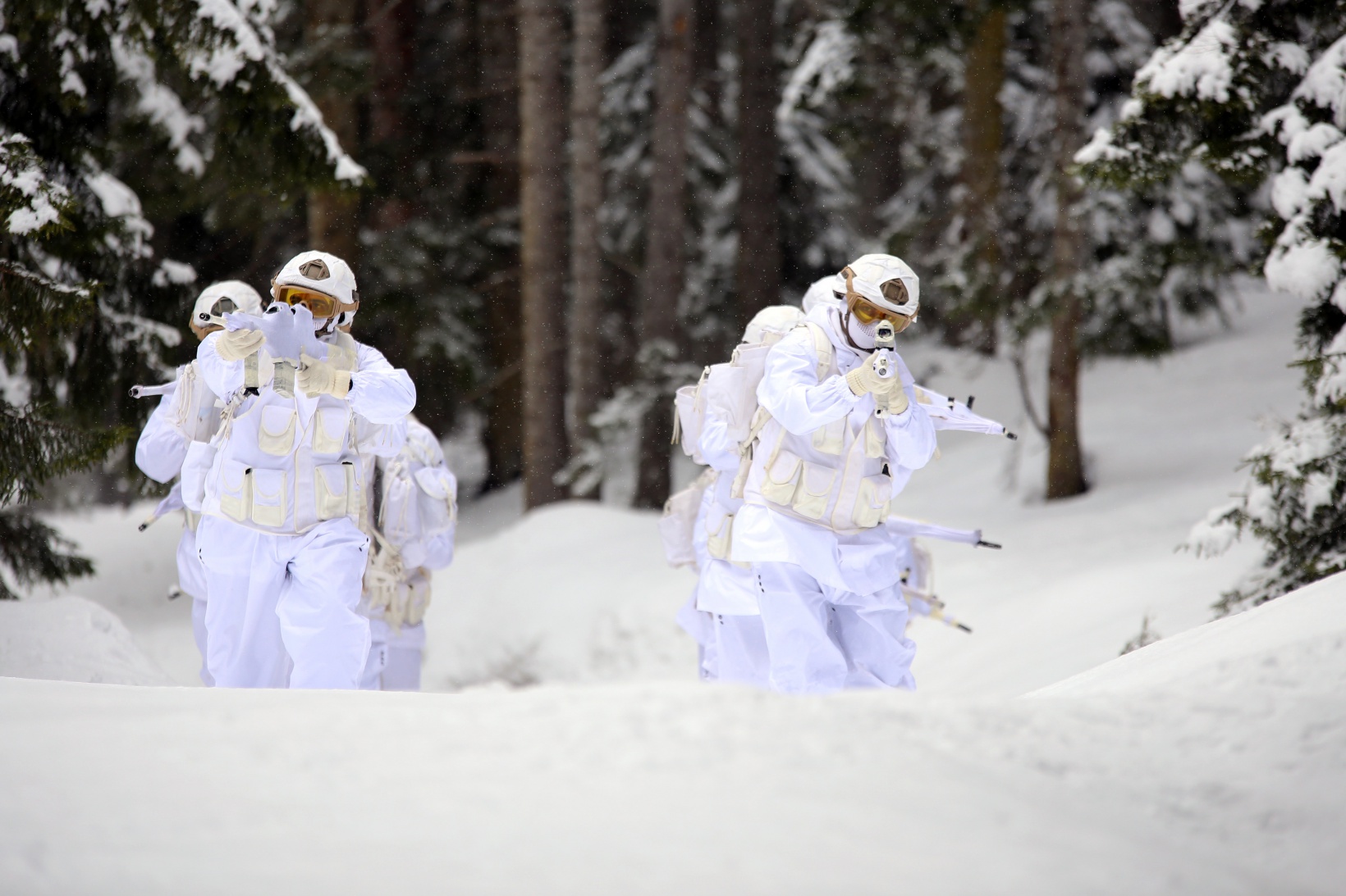 Gümüşhane yaylalarının güvenliği komandolara emanet 8