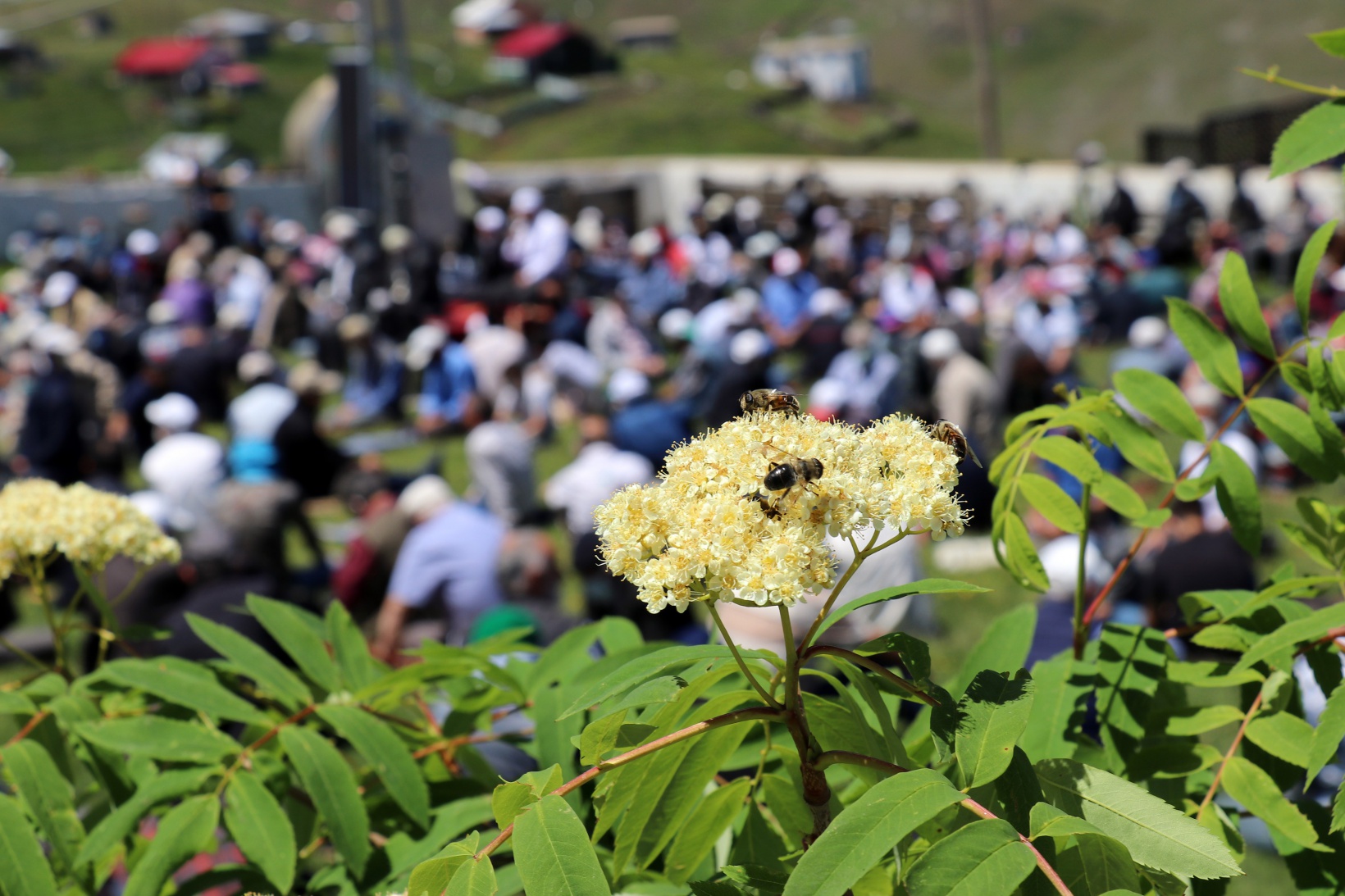 560 yıllık Kadırga camiinde namaz kılmanın huzurunu yaşadılar 6