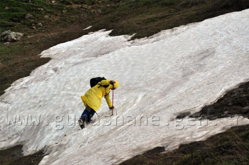 TEMA Vakfı Gümüşhane Dağlarında 38